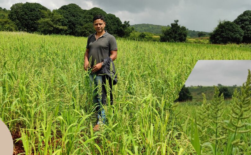 Barnyard Millet in Koraput